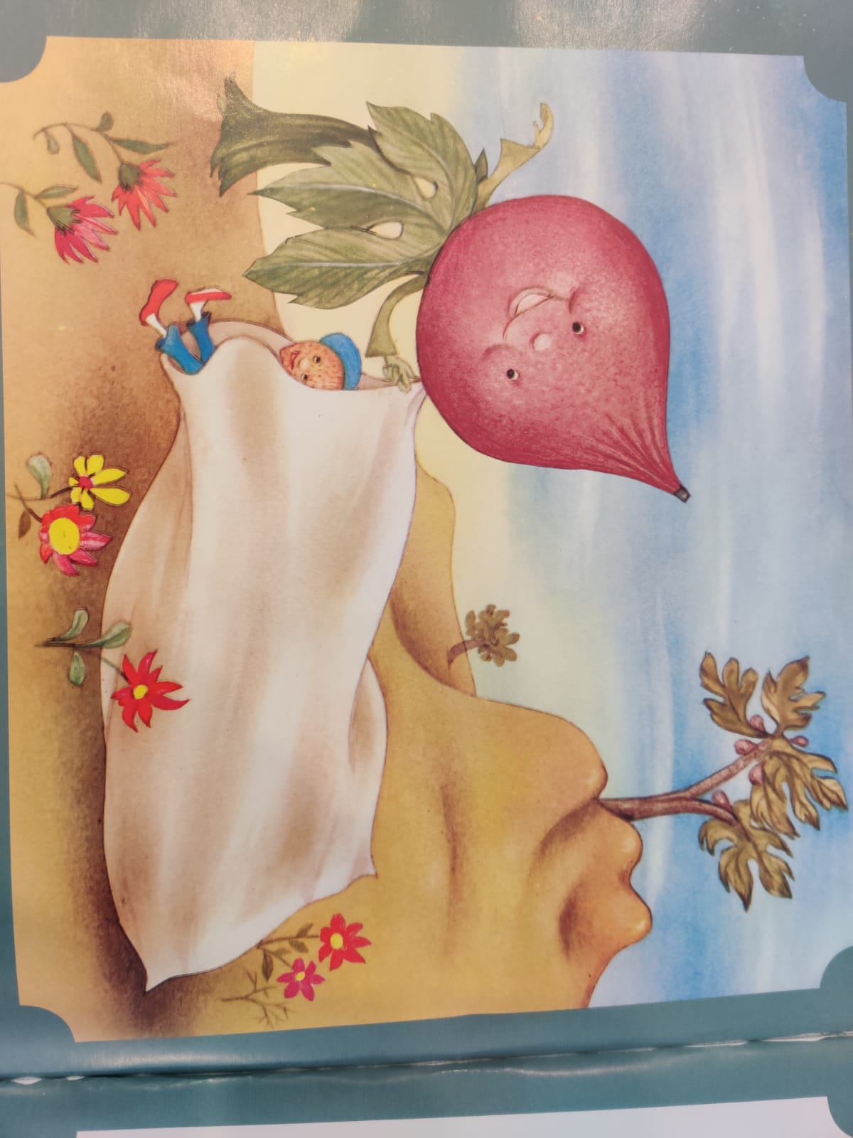 שישה בשקיק אחד / לוין קיפניס by shira - Ourboox.com