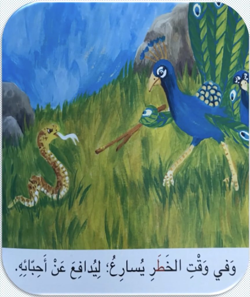 طريف الطاووس اللطيف by Noora rashed - Illustrated by نورة راشد علي الريس - Ourboox.com