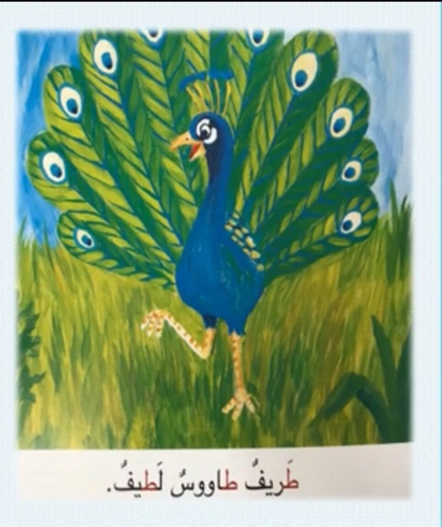 طريف الطاووس اللطيف by Noora rashed - Illustrated by نورة راشد علي الريس - Ourboox.com