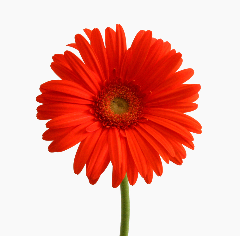 הסיפור שלי by hadas - Ourboox.com