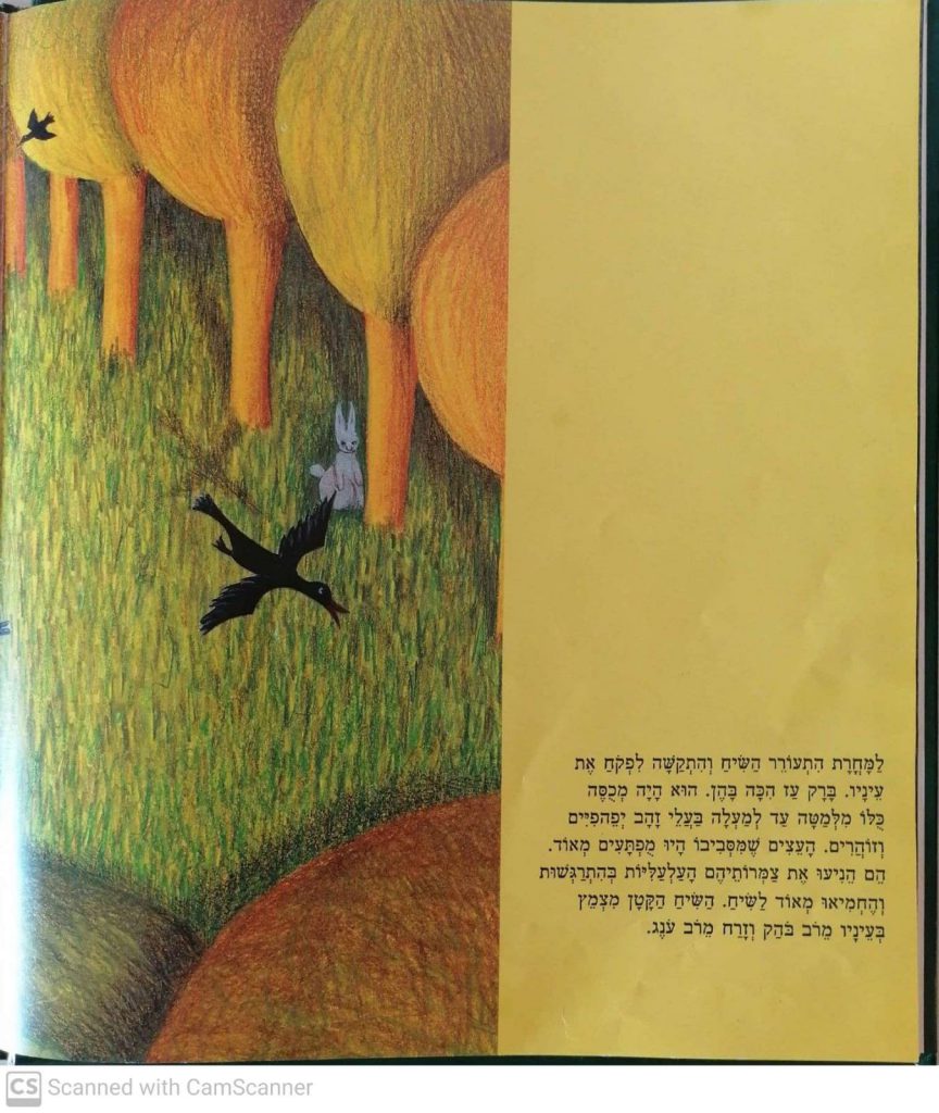 האגדה על השיח הקטן by kmo bakibutz - Illustrated by סיפרה וציירה - אסנת ישפה - Ourboox.com