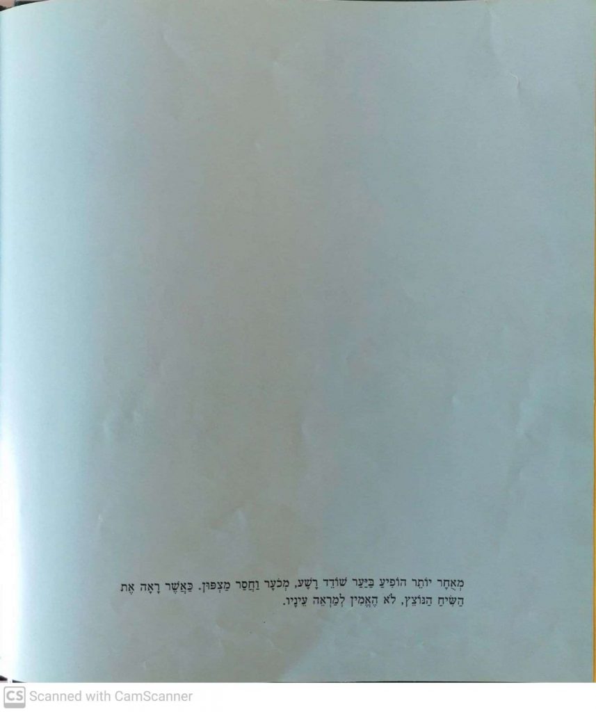 האגדה על השיח הקטן by kmo bakibutz - Illustrated by סיפרה וציירה - אסנת ישפה - Ourboox.com