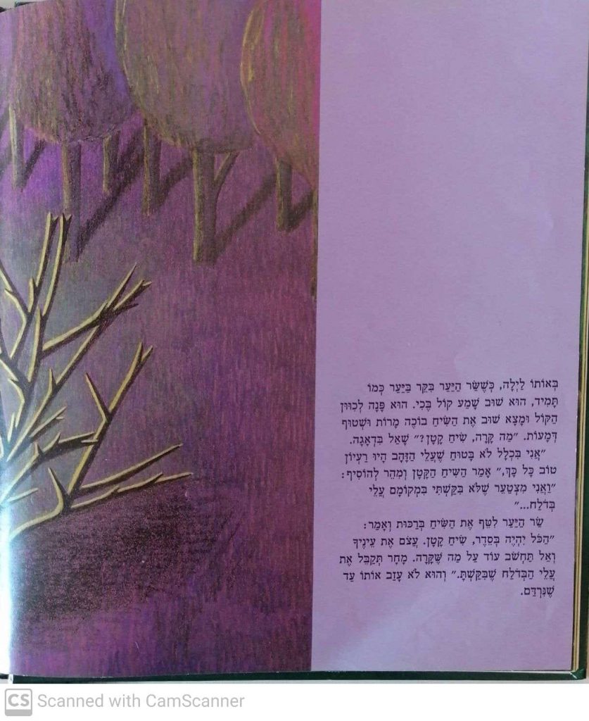 האגדה על השיח הקטן by kmo bakibutz - Illustrated by סיפרה וציירה - אסנת ישפה - Ourboox.com