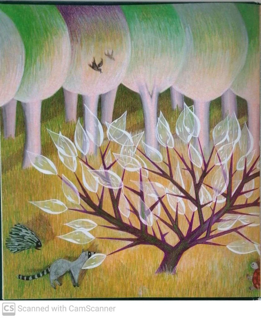 האגדה על השיח הקטן by kmo bakibutz - Illustrated by סיפרה וציירה - אסנת ישפה - Ourboox.com