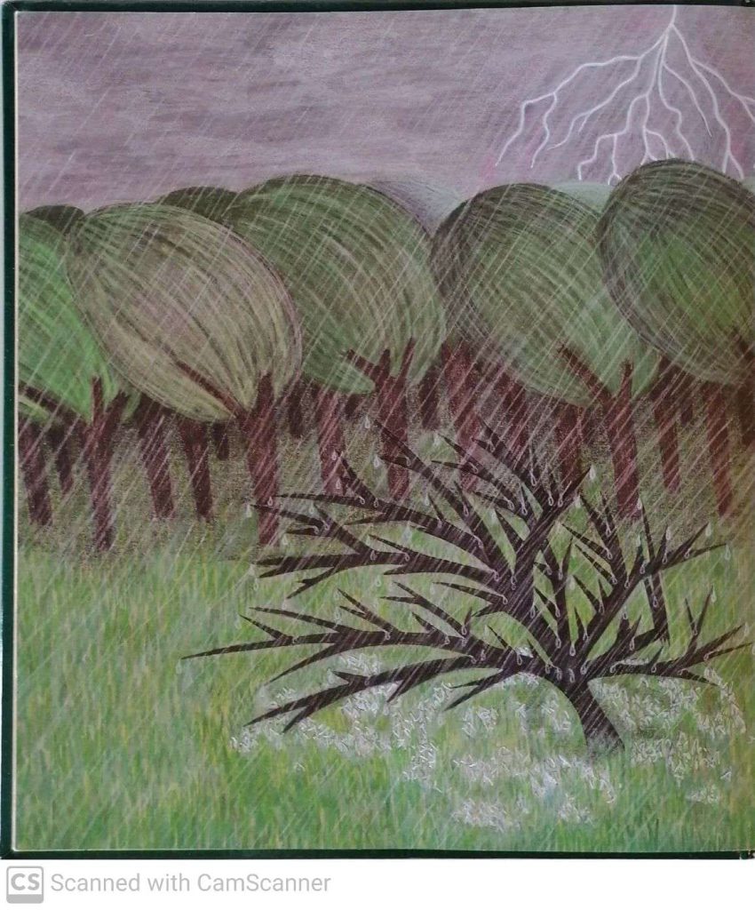 האגדה על השיח הקטן by kmo bakibutz - Illustrated by סיפרה וציירה - אסנת ישפה - Ourboox.com