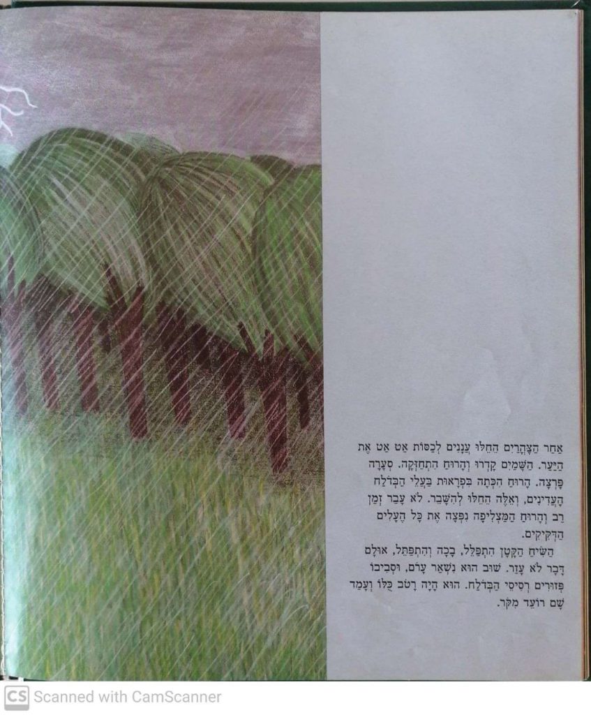האגדה על השיח הקטן by kmo bakibutz - Illustrated by סיפרה וציירה - אסנת ישפה - Ourboox.com