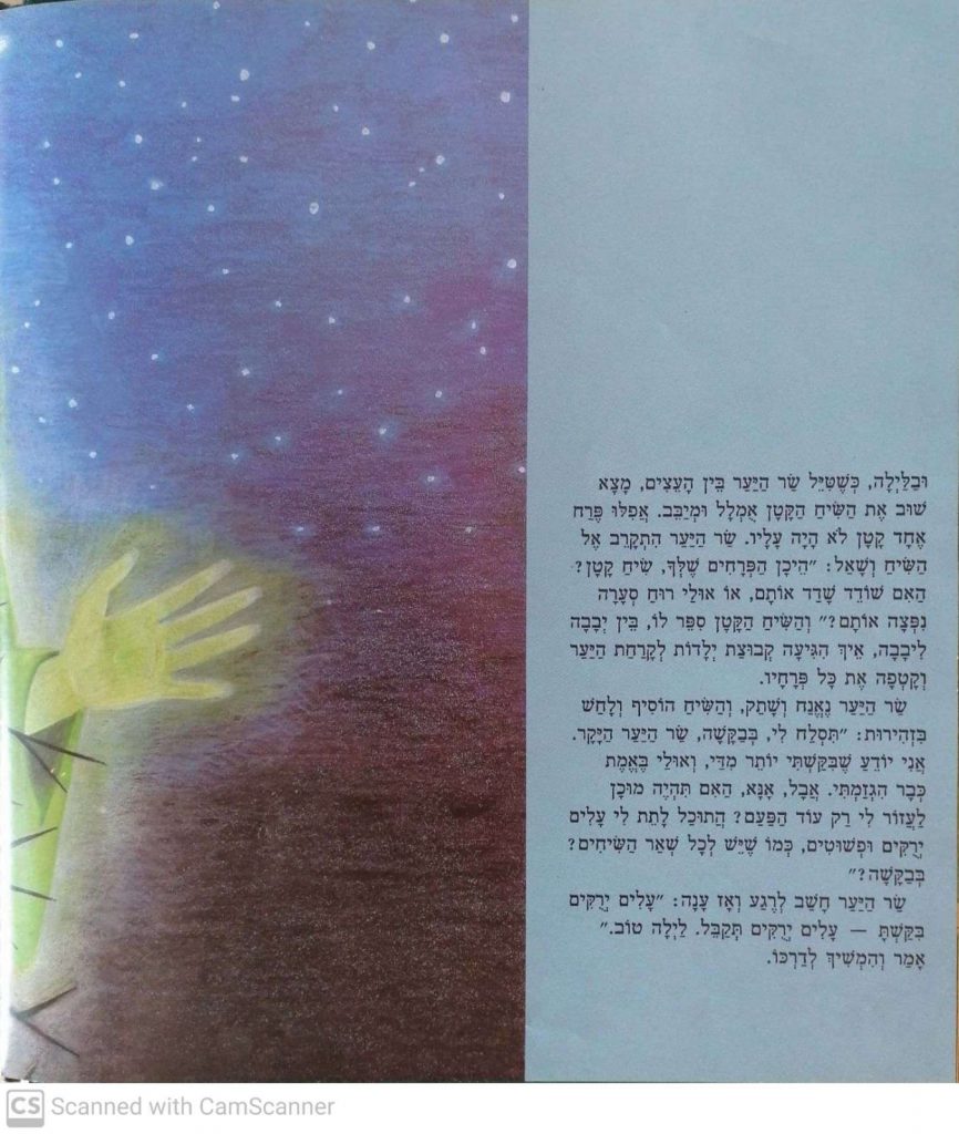 האגדה על השיח הקטן by kmo bakibutz - Illustrated by סיפרה וציירה - אסנת ישפה - Ourboox.com