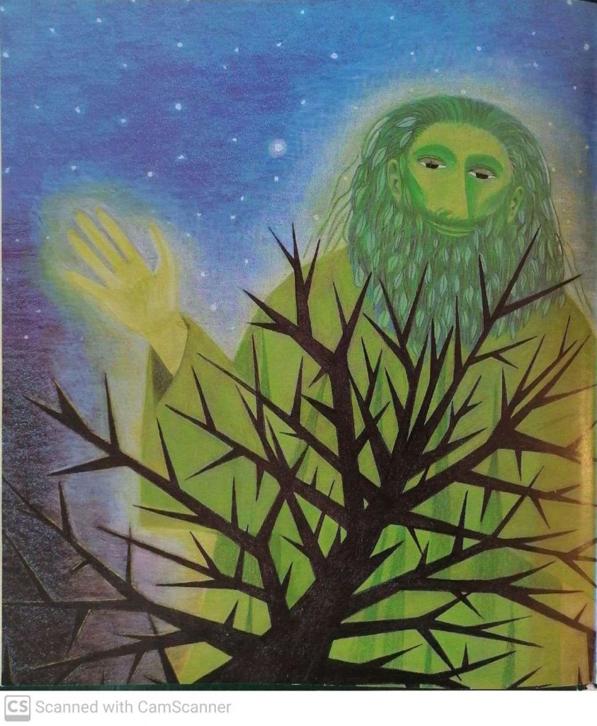 האגדה על השיח הקטן by kmo bakibutz - Illustrated by סיפרה וציירה - אסנת ישפה - Ourboox.com