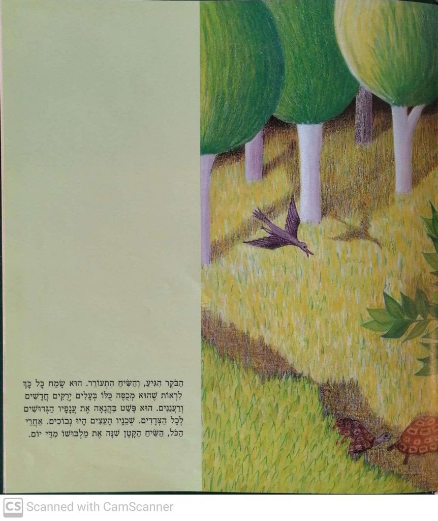 האגדה על השיח הקטן by kmo bakibutz - Illustrated by סיפרה וציירה - אסנת ישפה - Ourboox.com