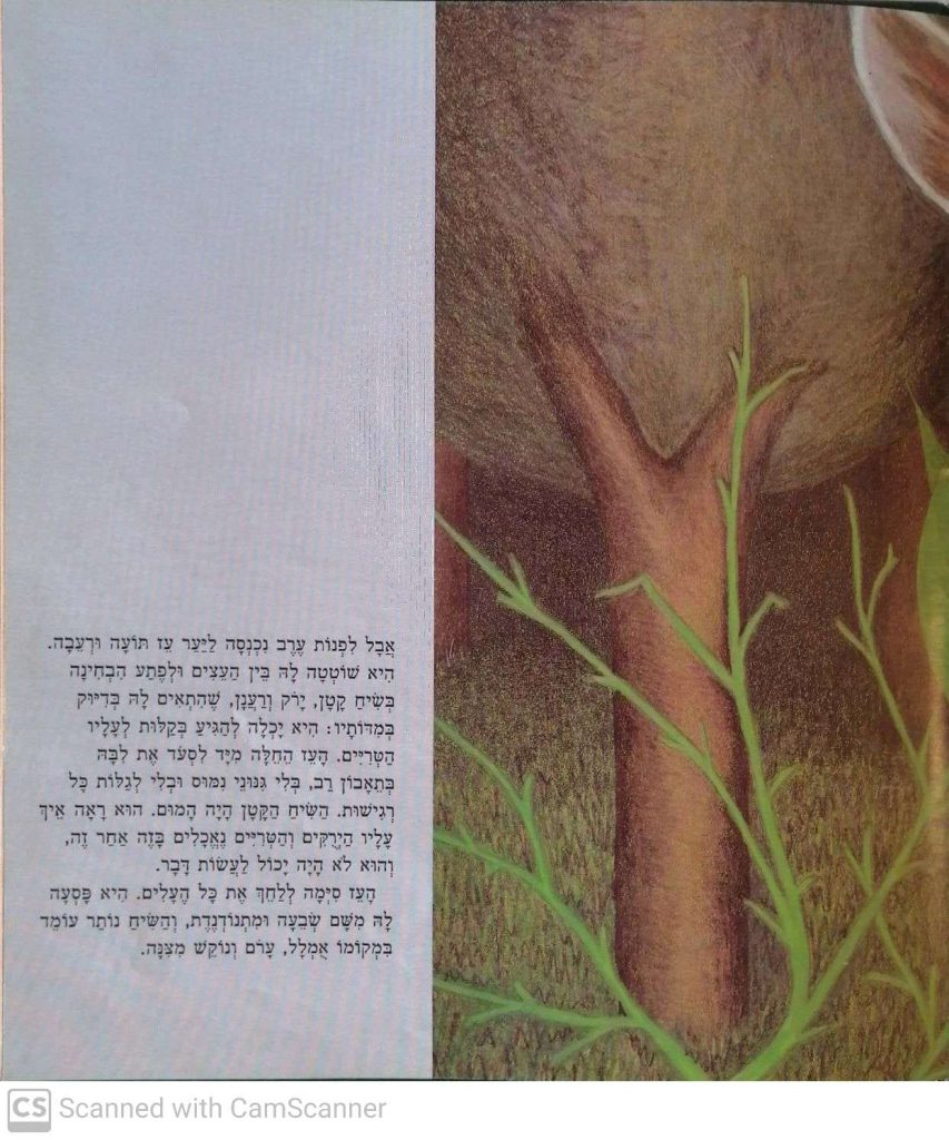 האגדה על השיח הקטן by kmo bakibutz - Illustrated by סיפרה וציירה - אסנת ישפה - Ourboox.com