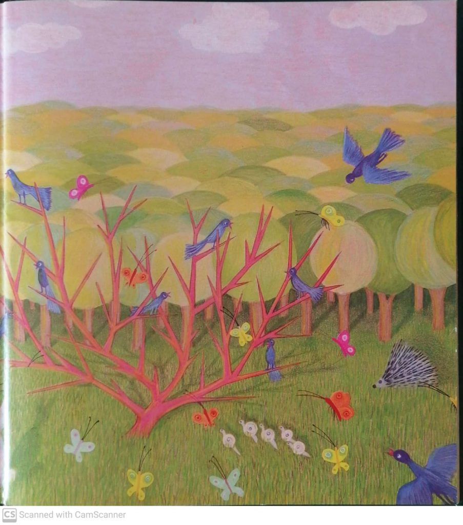 האגדה על השיח הקטן by kmo bakibutz - Illustrated by סיפרה וציירה - אסנת ישפה - Ourboox.com