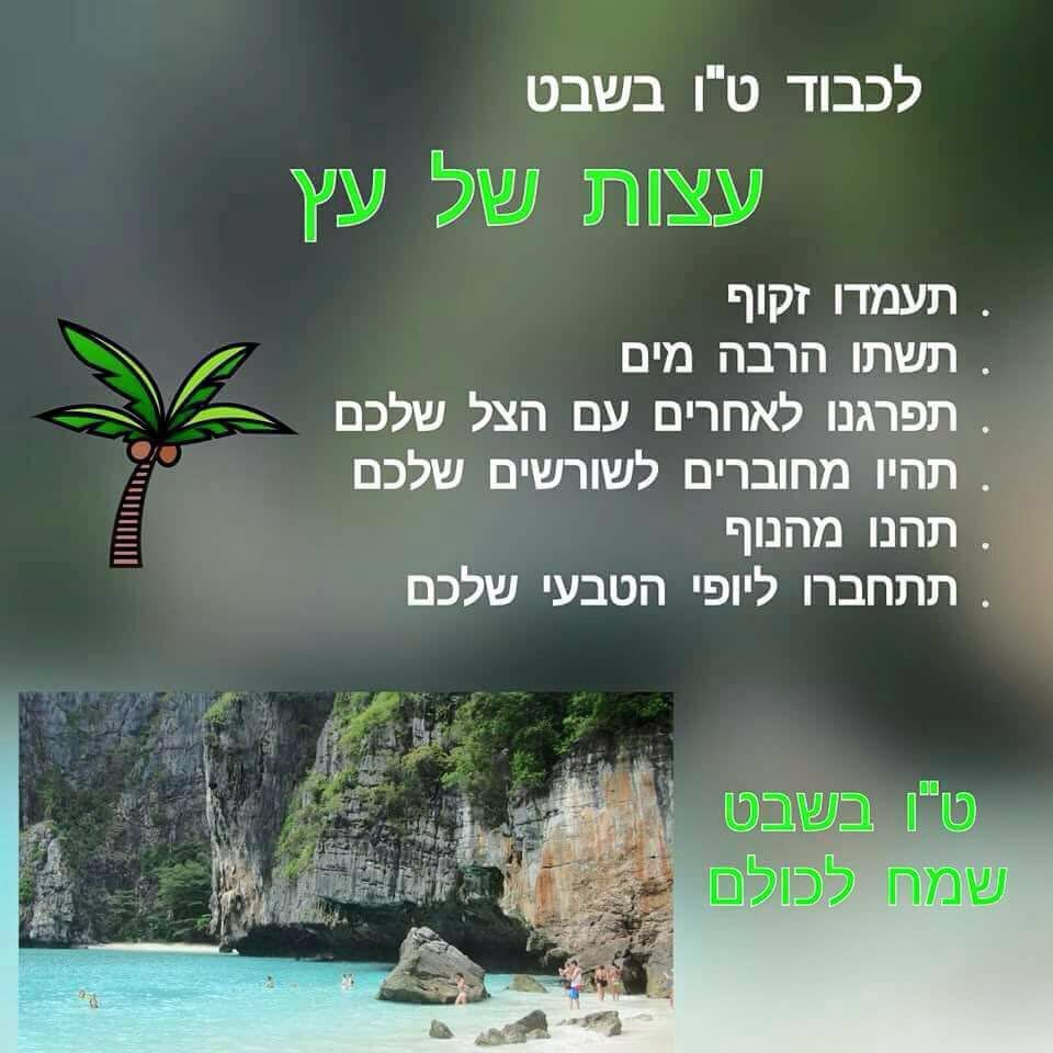 רגעם של זום by navot inbar - Ourboox.com