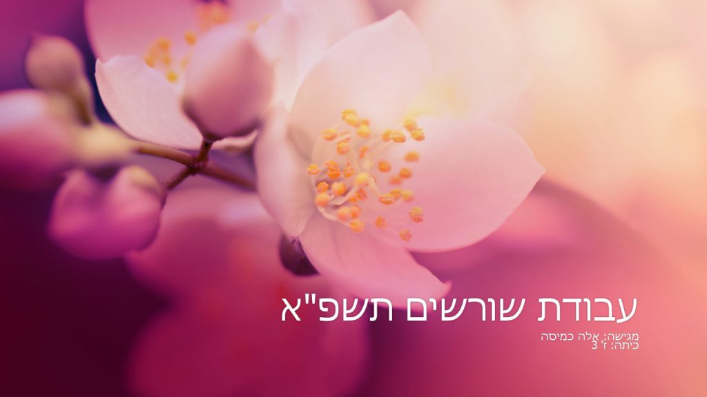 עבודת שורשים by ella - Ourboox.com