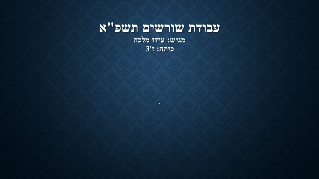 עבודת שורשים by ido - Ourboox.com