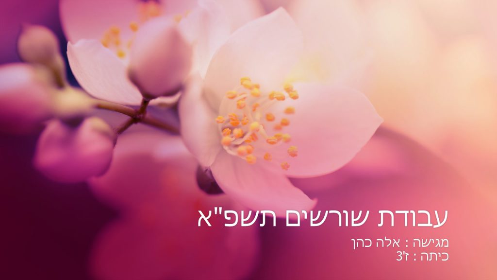 עבודת שורשים by Ella - Ourboox.com