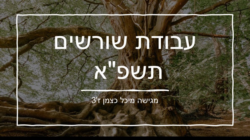 עבודת שורשים by michal - Ourboox.com