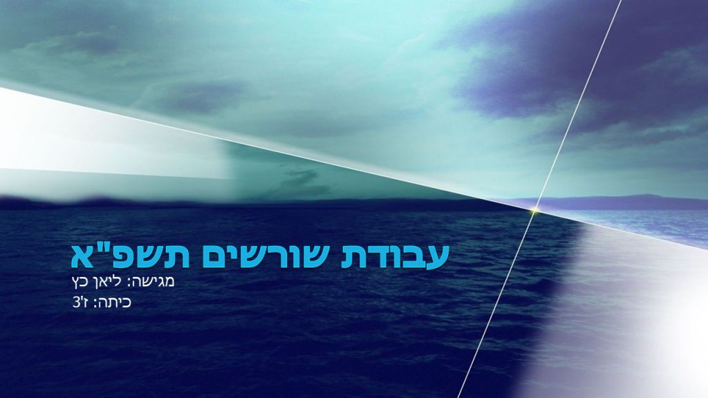 עבודת שורשים by lian - Ourboox.com