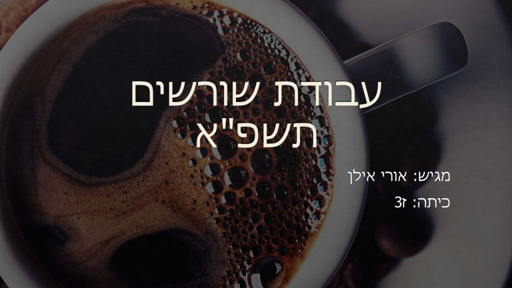 עבודת שורשים by uri - Ourboox.com