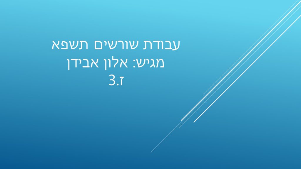 עבודת שורשים by Alon - Ourboox.com
