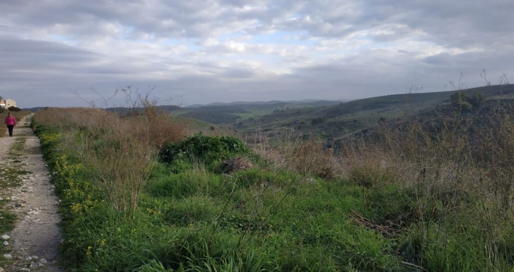 נקודות חן ביקנעם העיר הירוקה שלנו. המלצות תלמידי כיתה ו’1 לבילוי קרוב לבית by maya tavory - Illustrated by כיתה ו