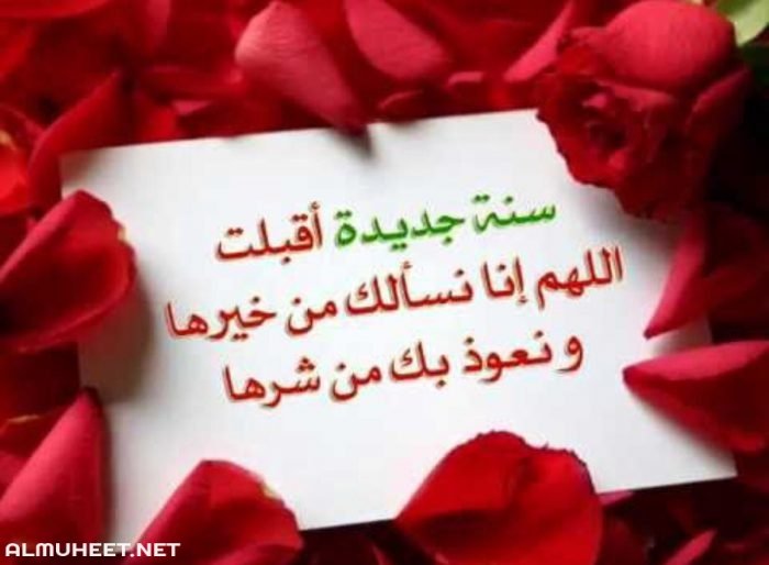 الزيتون by shadia - Ourboox.com