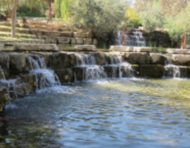 נקודות חן ביקנעם העיר הירוקה שלנו. המלצות תלמידי כיתה ו’1 לבילוי קרוב לבית by maya tavory - Illustrated by כיתה ו