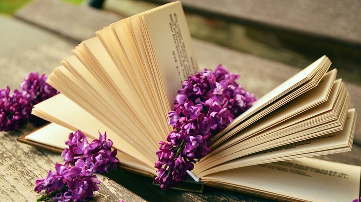 Багатосторінкові видання та їх формат. Загальні питання побудови композиції by Max Morvaniuk - Illustrated by Max Morvaniuk - Ourboox.com