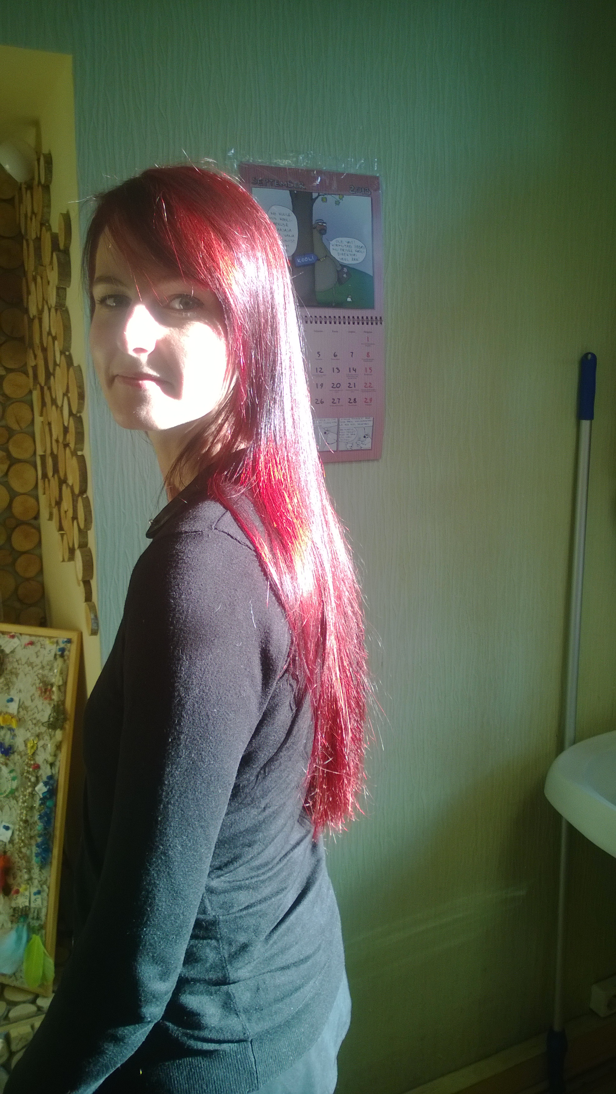 Mina ja mu pere by Raul Toim - Ourboox.com