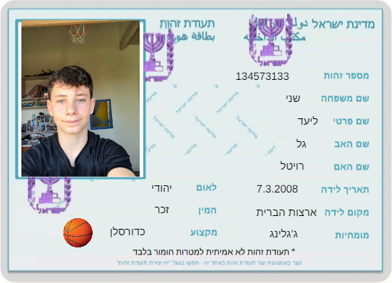 עבודת שורשים by Liad - Ourboox.com