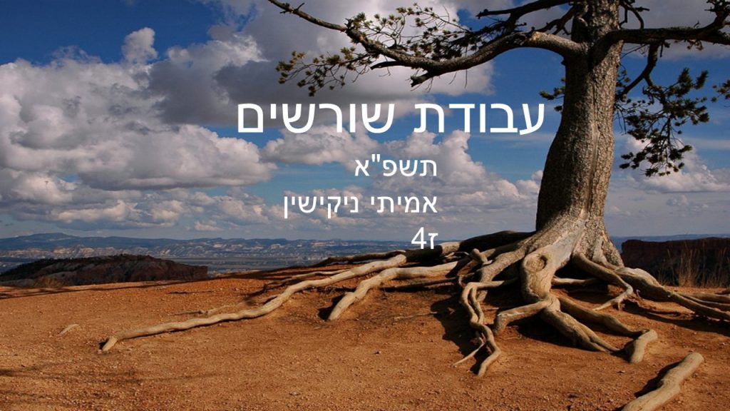 שורשים תשפ”א אמיתי by amitai - Ourboox.com
