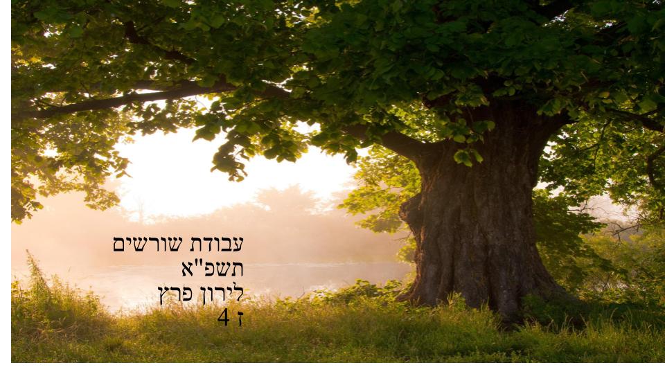 שורשים תשפ”א לירון פרץ by liron peretz - Ourboox.com