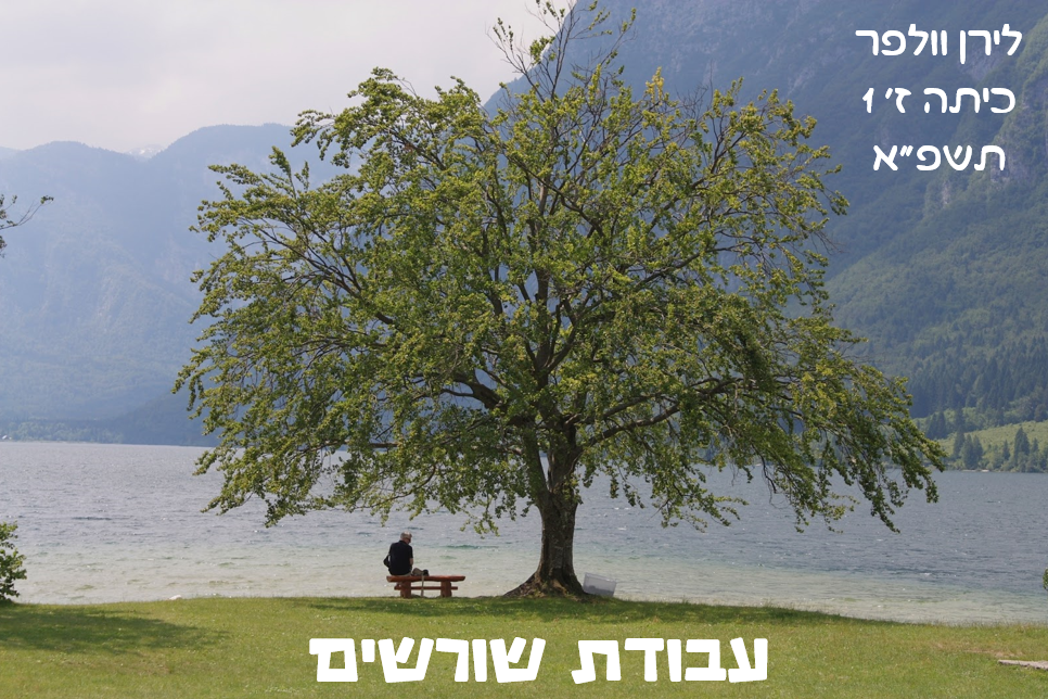 עבודת שורשים by liran valfer - Ourboox.com
