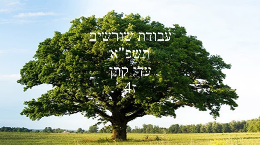 שורשים תשפ”א עדי קרן by adi keren - Ourboox.com