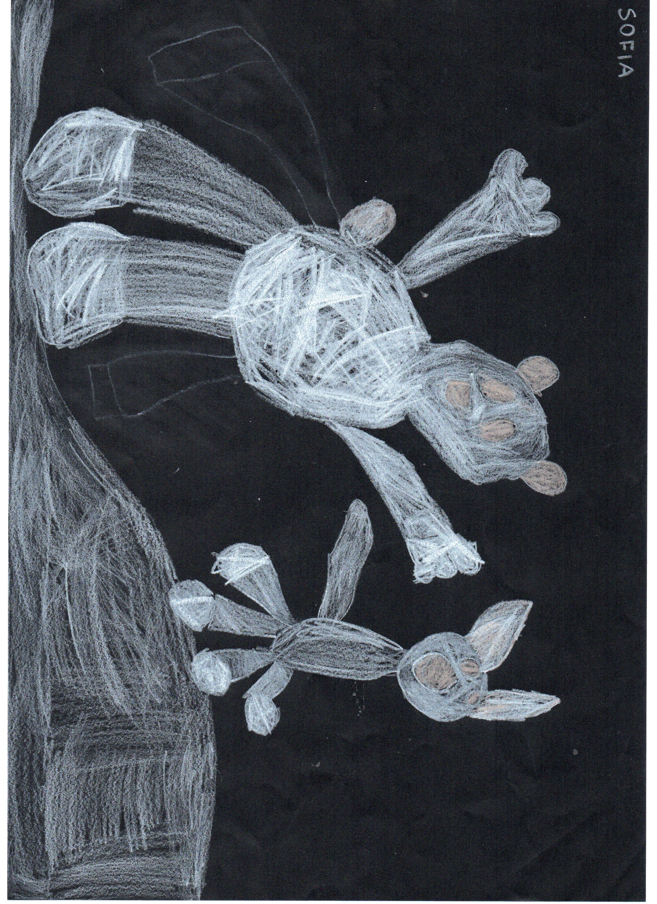 GLI ANIMALI DEL POLO NORD E PINGU by Anna Delai - Illustrated by  BAMBINI E BAMBINE DELLA SEZIONE VERDE - Ourboox.com