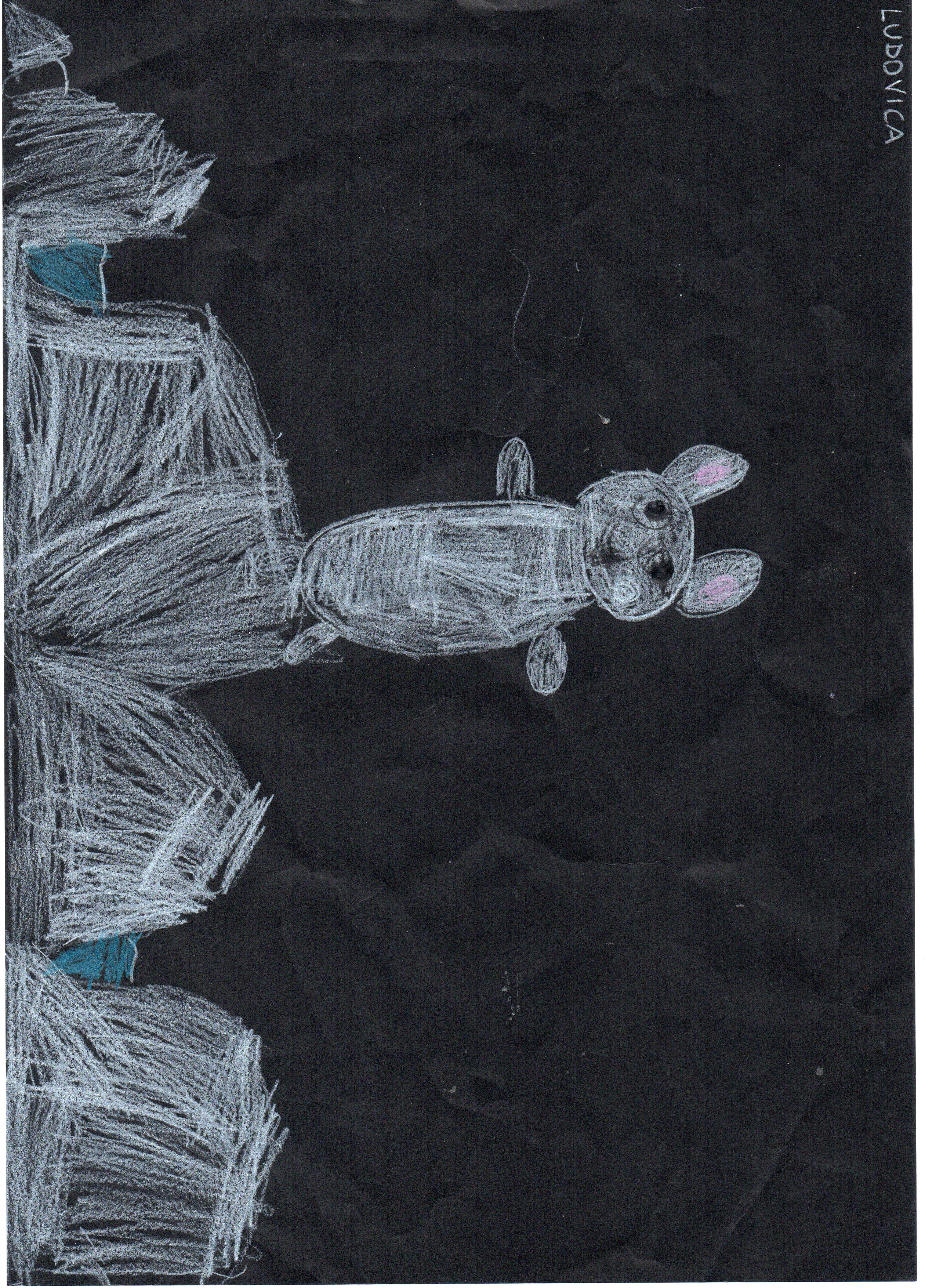 GLI ANIMALI DEL POLO NORD E PINGU by Anna Delai - Illustrated by  BAMBINI E BAMBINE DELLA SEZIONE VERDE - Ourboox.com