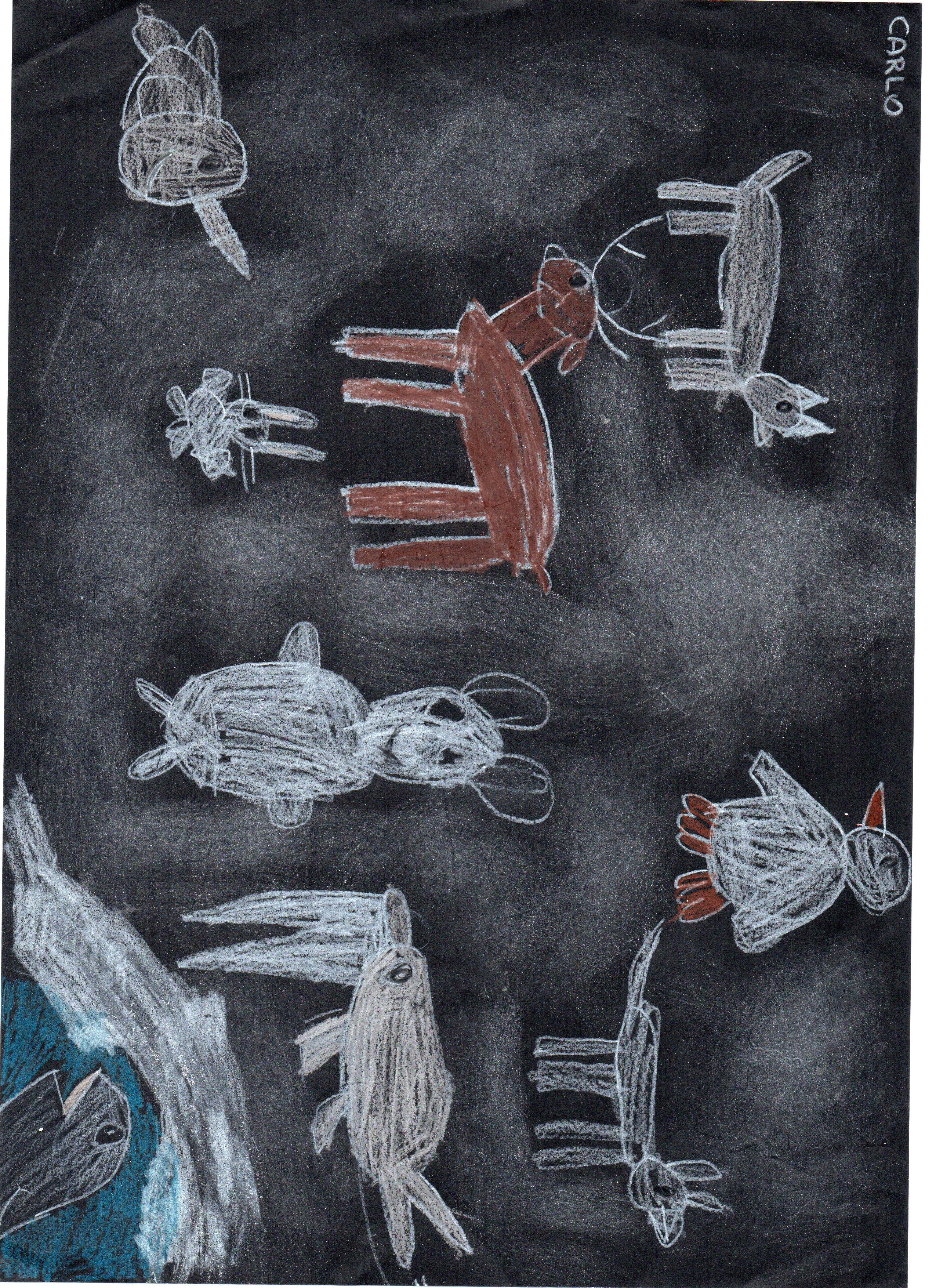 GLI ANIMALI DEL POLO NORD E PINGU by Anna Delai - Illustrated by  BAMBINI E BAMBINE DELLA SEZIONE VERDE - Ourboox.com