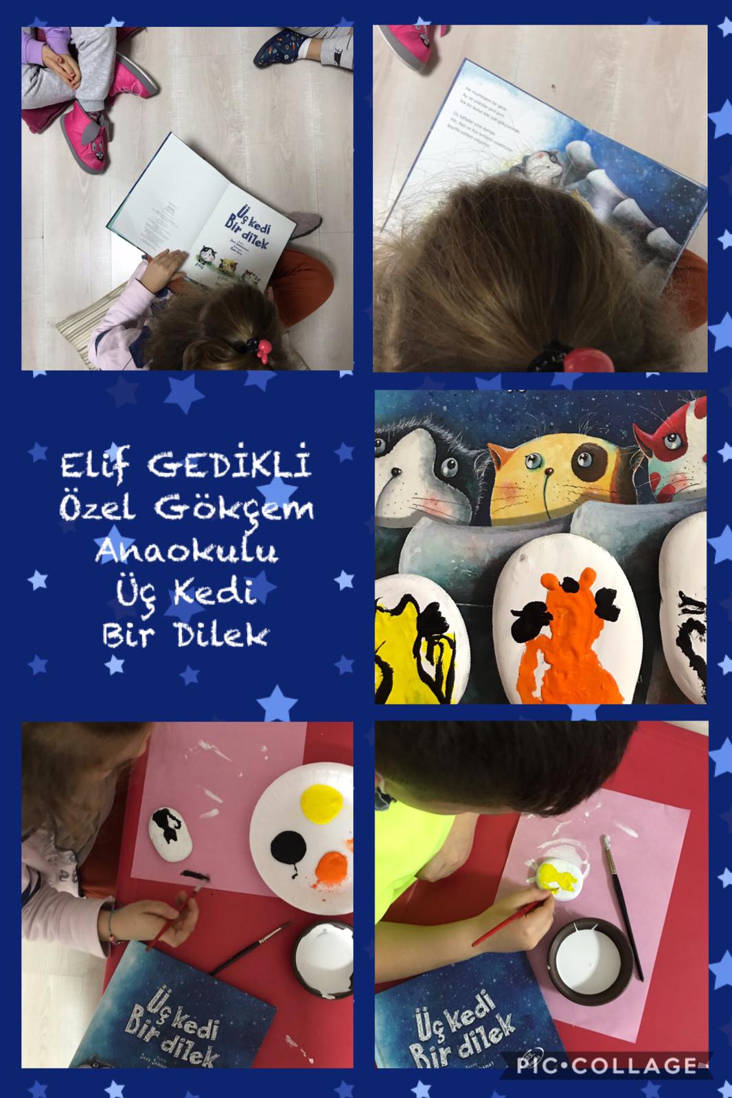 Hikayeler Bizim Dünyamız 3 Kedi 1 Dilek Kitabı Tematik Çalışmalarımız by Fatma Rüzgar - Ourboox.com