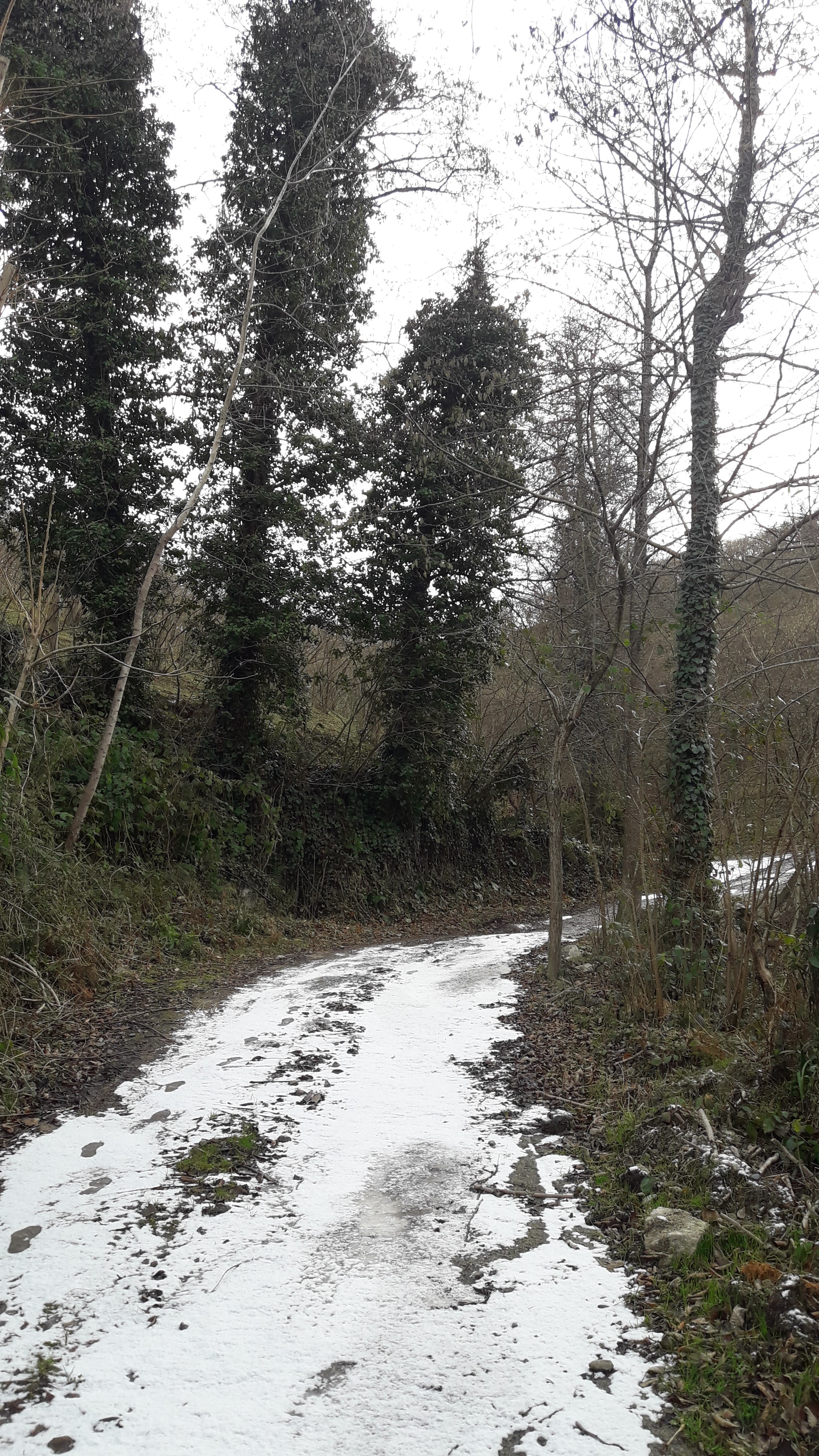 Evimde Kış by ÖzlemG - Illustrated by İcilli İlk-Ortaokulu - Ourboox.com