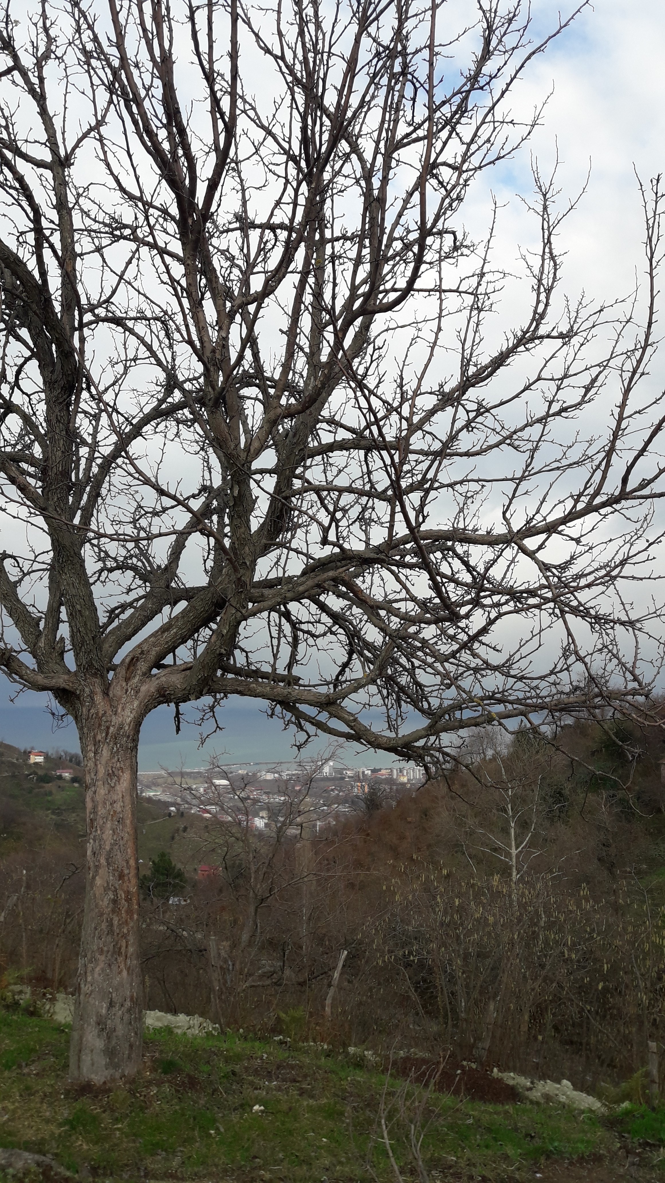 Evimde Kış by ÖzlemG - Illustrated by İcilli İlk-Ortaokulu - Ourboox.com