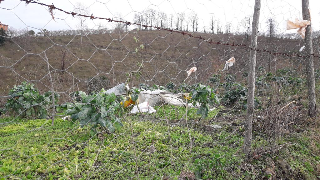 Evimde Kış by ÖzlemG - Illustrated by İcilli İlk-Ortaokulu - Ourboox.com