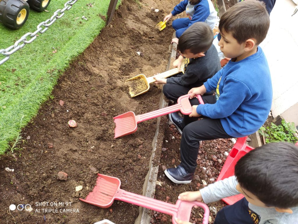 סיכום פרויקט הנבטה -תיעוד באמצעות ספר תמונות- מאת הגננת שדא פרחאת by shada - Ourboox.com