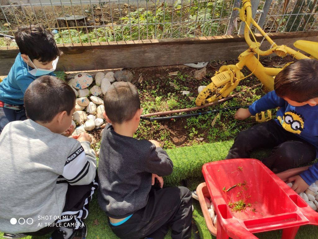בתחילת התהליך הילדים למדו שצריך לנקות את הגינה וסביבתה ,זרקו פסולת לפח והרחיקו אבנים ,אספנו אבנים ובינינו ערוגות וסדרנו את הגינה כולנו יחד כל הצוות וכל הילדים . התחילו הילדים לגלות אחריות כלפי הניקיון והסדר . חקרנו והבנו אני והילדים וכל הצוות מה כדאי לשתול כי יש זרעים מסוימים שמתאימים לעונות שנה מסוימת ,ויש סוג אדמה שמתאימה לצמחים ,ההורים שלחו עם הילדים סוגי זרעים מתאימים לעונה .וכך התחיל תהליך השתילה והחקירה .