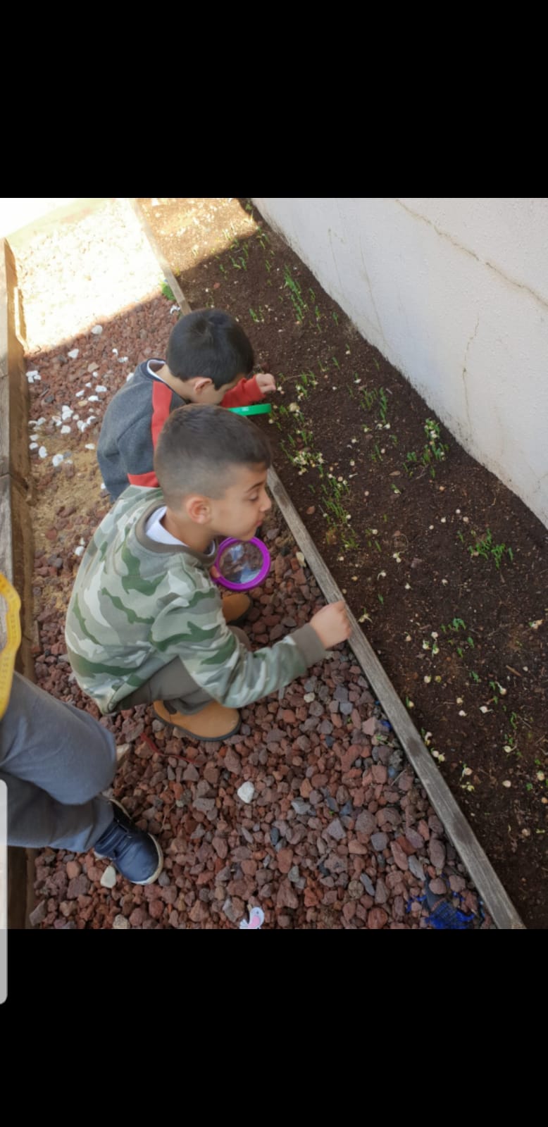 סיכום פרויקט הנבטה -תיעוד באמצעות ספר תמונות- מאת הגננת שדא פרחאת by shada - Ourboox.com