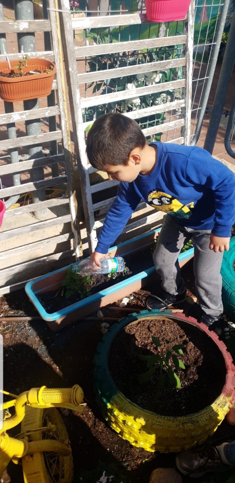 סיכום פרויקט הנבטה -תיעוד באמצעות ספר תמונות- מאת הגננת שדא פרחאת by shada - Ourboox.com