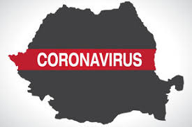 ESSAY ON CORONAVIRUS by Daria V - Illustrated by Vasile Daria - Ourboox.com