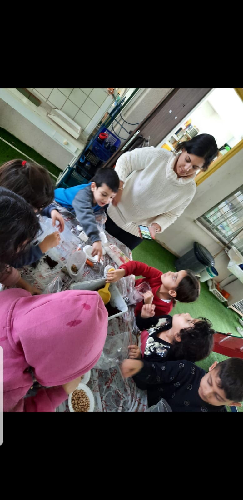 סיכום פרויקט הנבטה -תיעוד באמצעות ספר תמונות- מאת הגננת שדא פרחאת by shada - Ourboox.com