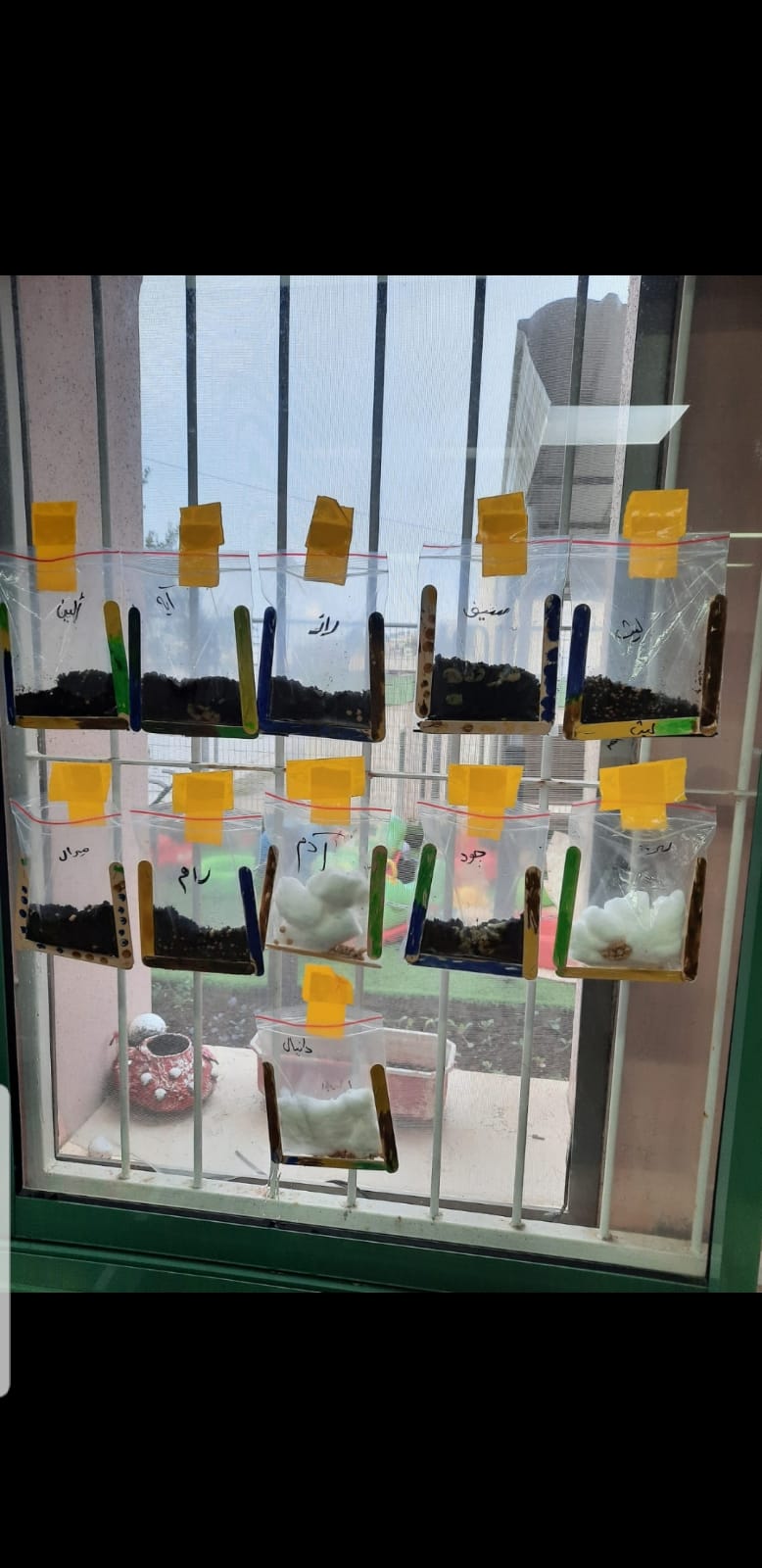 סיכום פרויקט הנבטה -תיעוד באמצעות ספר תמונות- מאת הגננת שדא פרחאת by shada - Ourboox.com