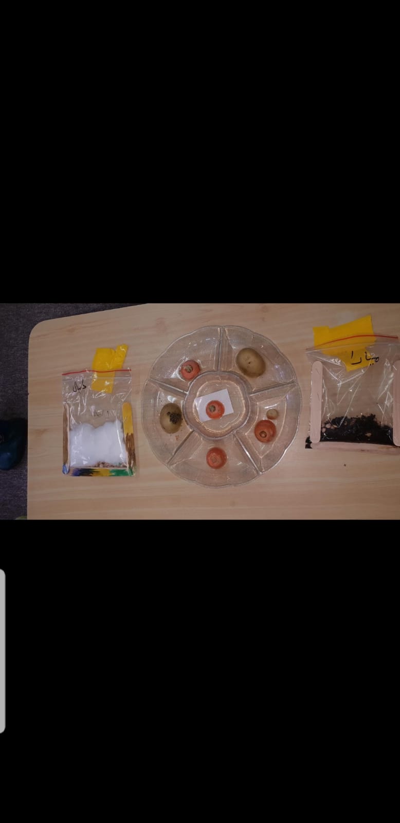 סיכום פרויקט הנבטה -תיעוד באמצעות ספר תמונות- מאת הגננת שדא פרחאת by shada - Ourboox.com