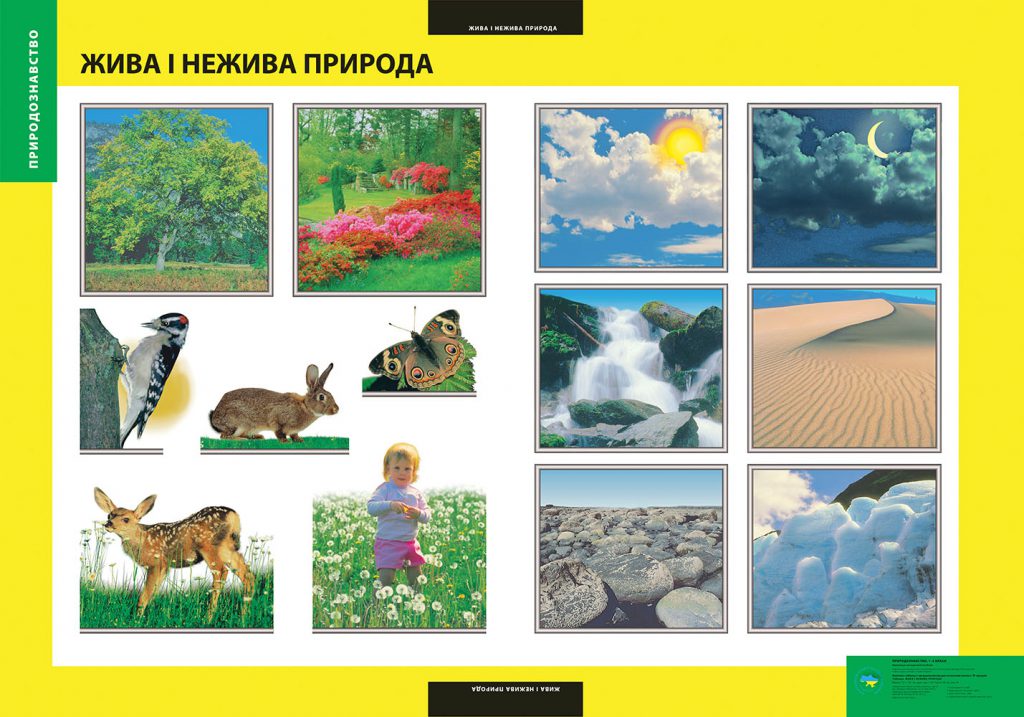 Збережемо чистим довкілля by Liza - Illustrated by Харпатіна Є, Волинець Л - Ourboox.com