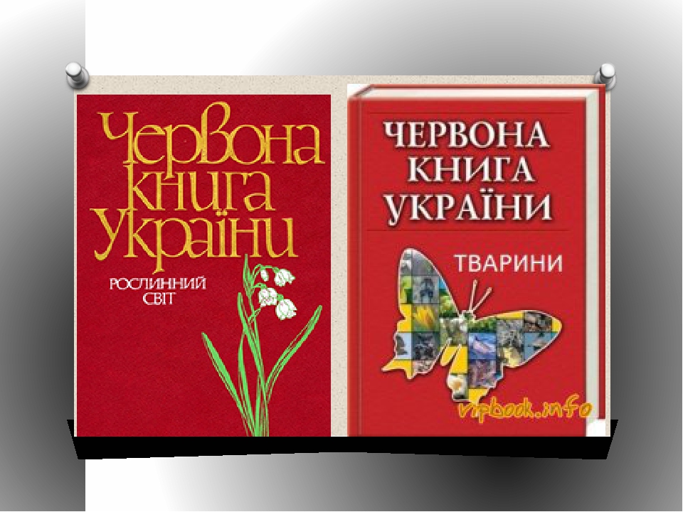 Збережемо чистим довкілля by Liza - Illustrated by Харпатіна Є, Волинець Л - Ourboox.com